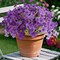 16 Bundles Purple Spring Flowers Artificial Outdoor UV Resistant Fake Flowers Spring Outdoor Porch Decor Outside Artificial Plants for Window Box